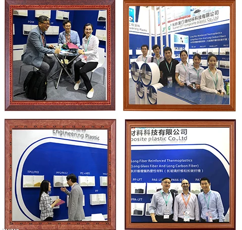 Long Carbon fiber PA12 polymer pa12 plastic raw material prices