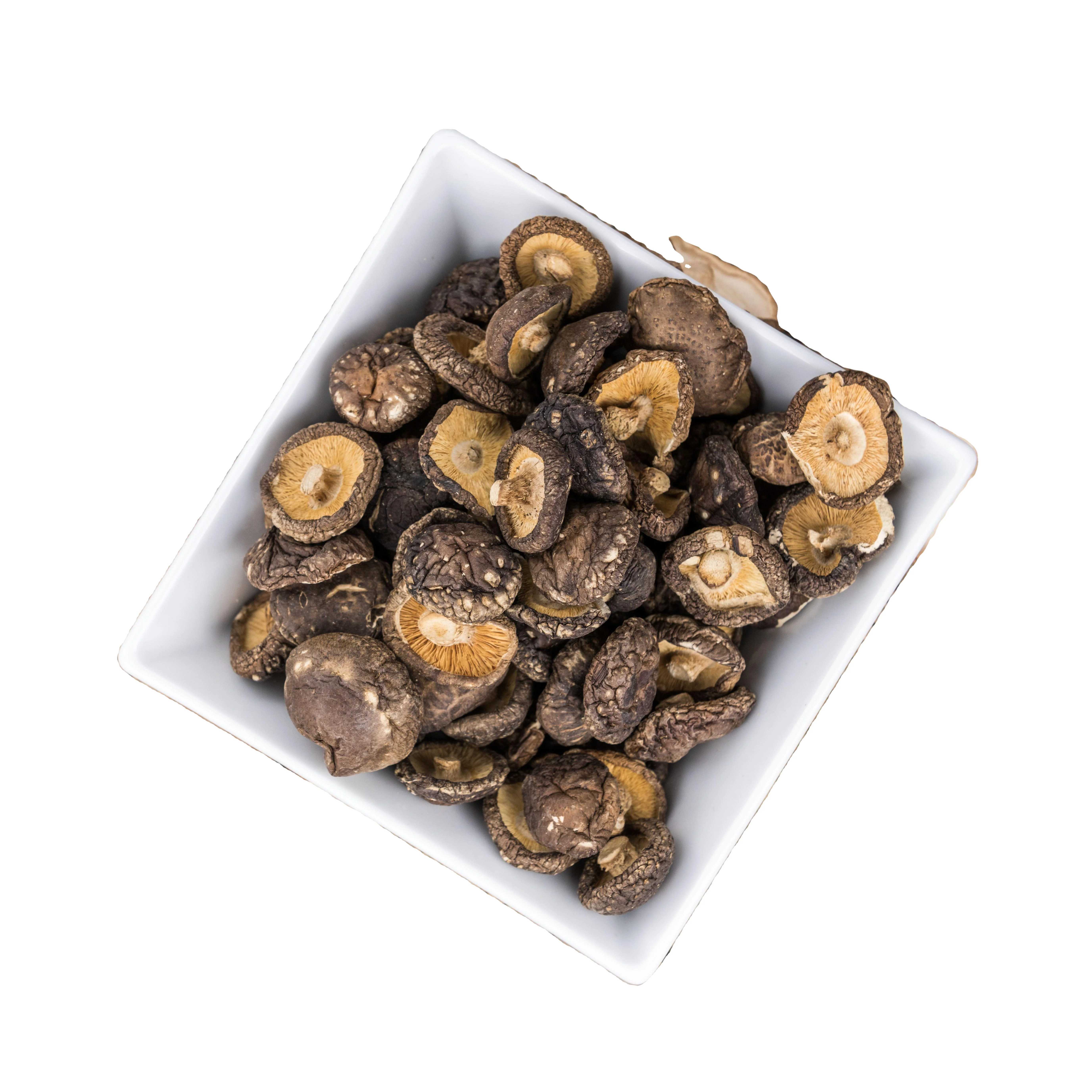 Новый экспорт грибов шиитаке сушеный для продажи по низкой цене