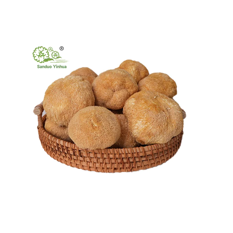 Оптовая продажа, Органическая сушеная Львиная Грива