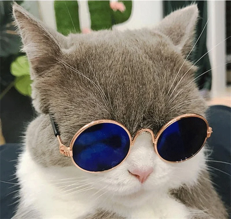 pet sunglasses cheap