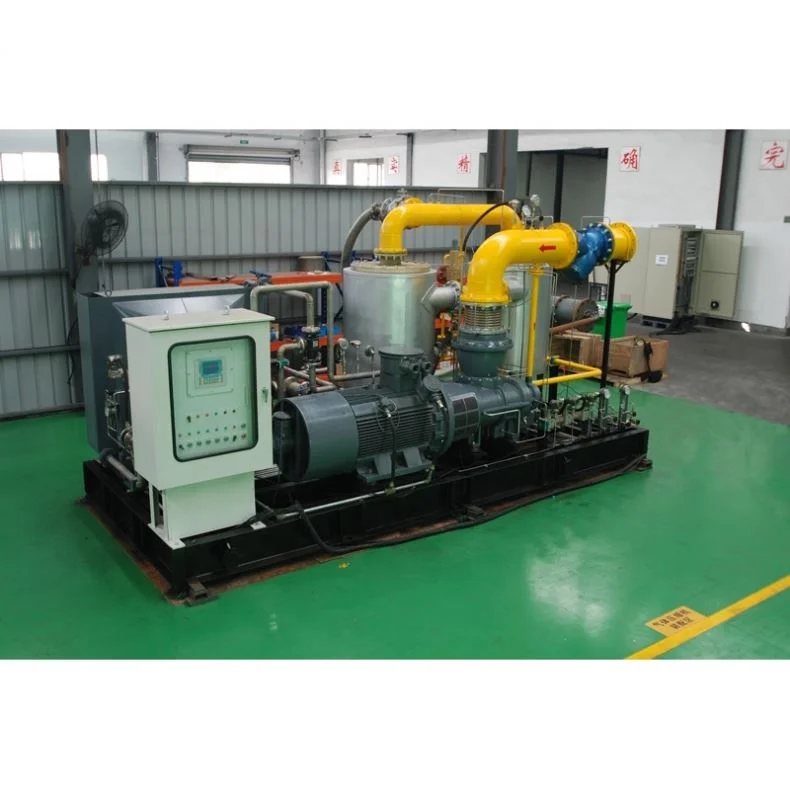 Advanced Technology Good Price Biogas Refrigerator Compressor