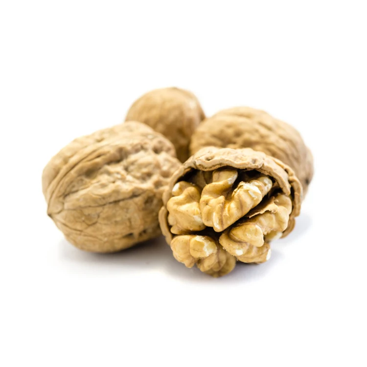Best Quality Nuts Raw And Washed Xin 33 Walnuts In Shell Dried Style Raw Walnut From China Walnuts