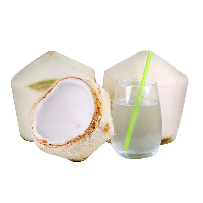 Tropical Flavored Fruits Young Coconuts Green Coconuts With Cold-Chain Transportation
