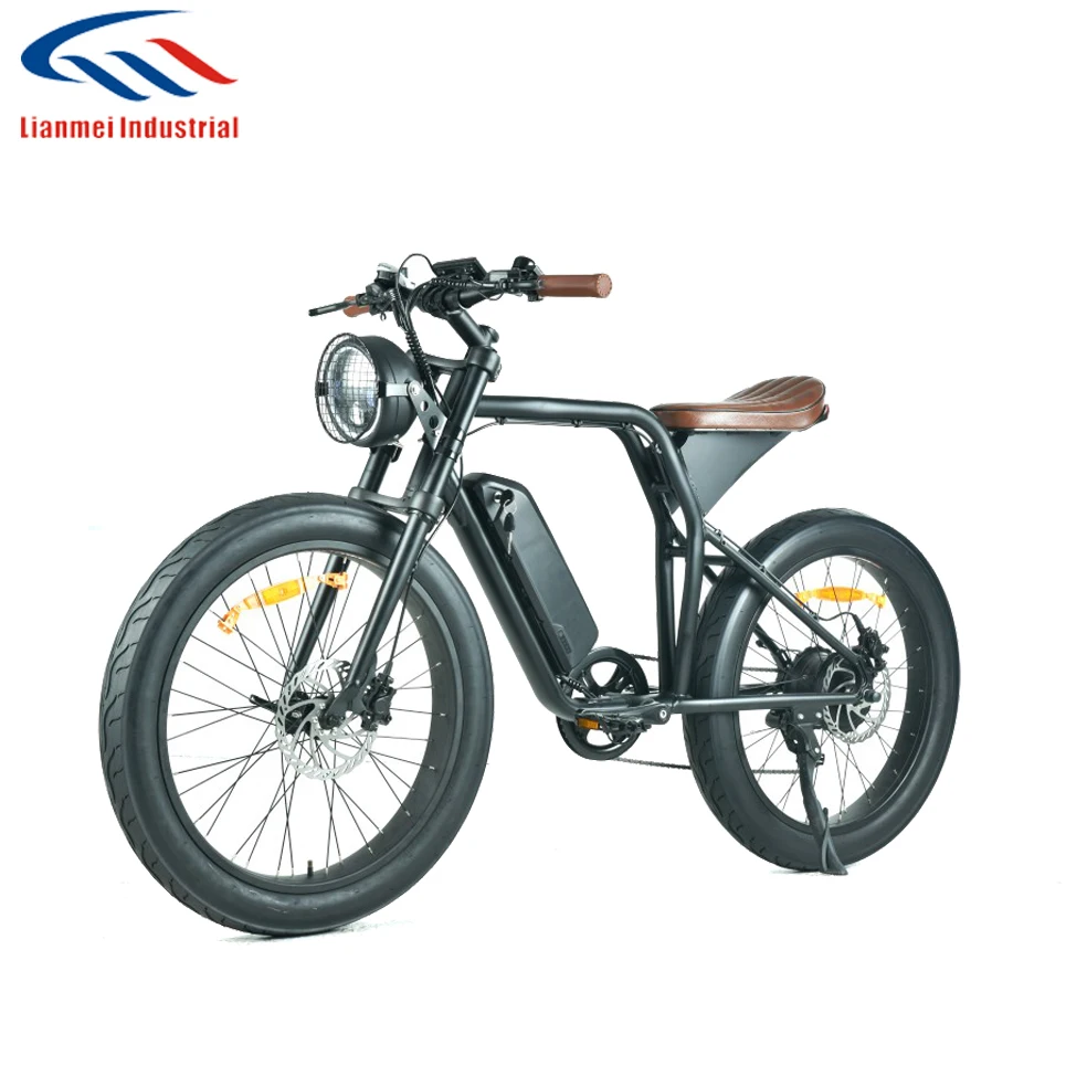 
European style electric bicycle fat tire e-bike with 48V 10Ah lithium battery 