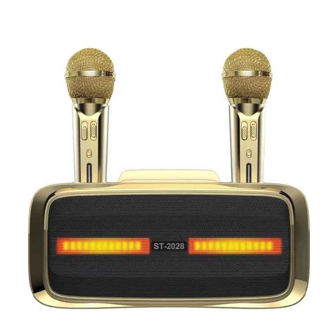 Microphone Speaker with Dual wireless microphone support Blue tooth  TF USB Audio output