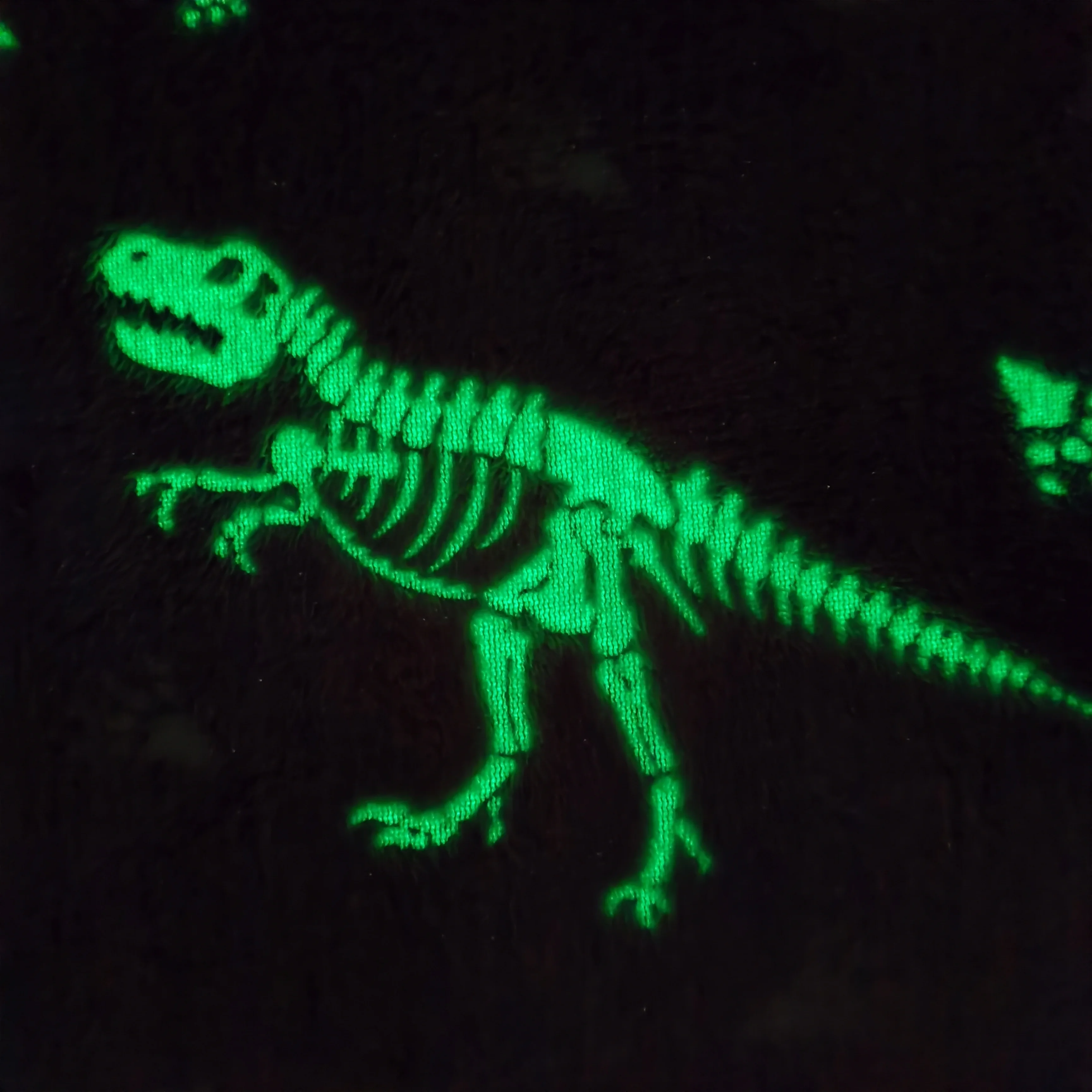Polyester flannel coral fleece luminous dinosaur design fluorescent baby blanket glow in the dark luxury blanket throw for kids