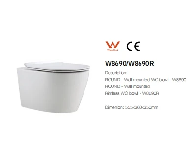 2024 Factory wholesale price New design CE Certificate European Style Wall hung toilet on sale