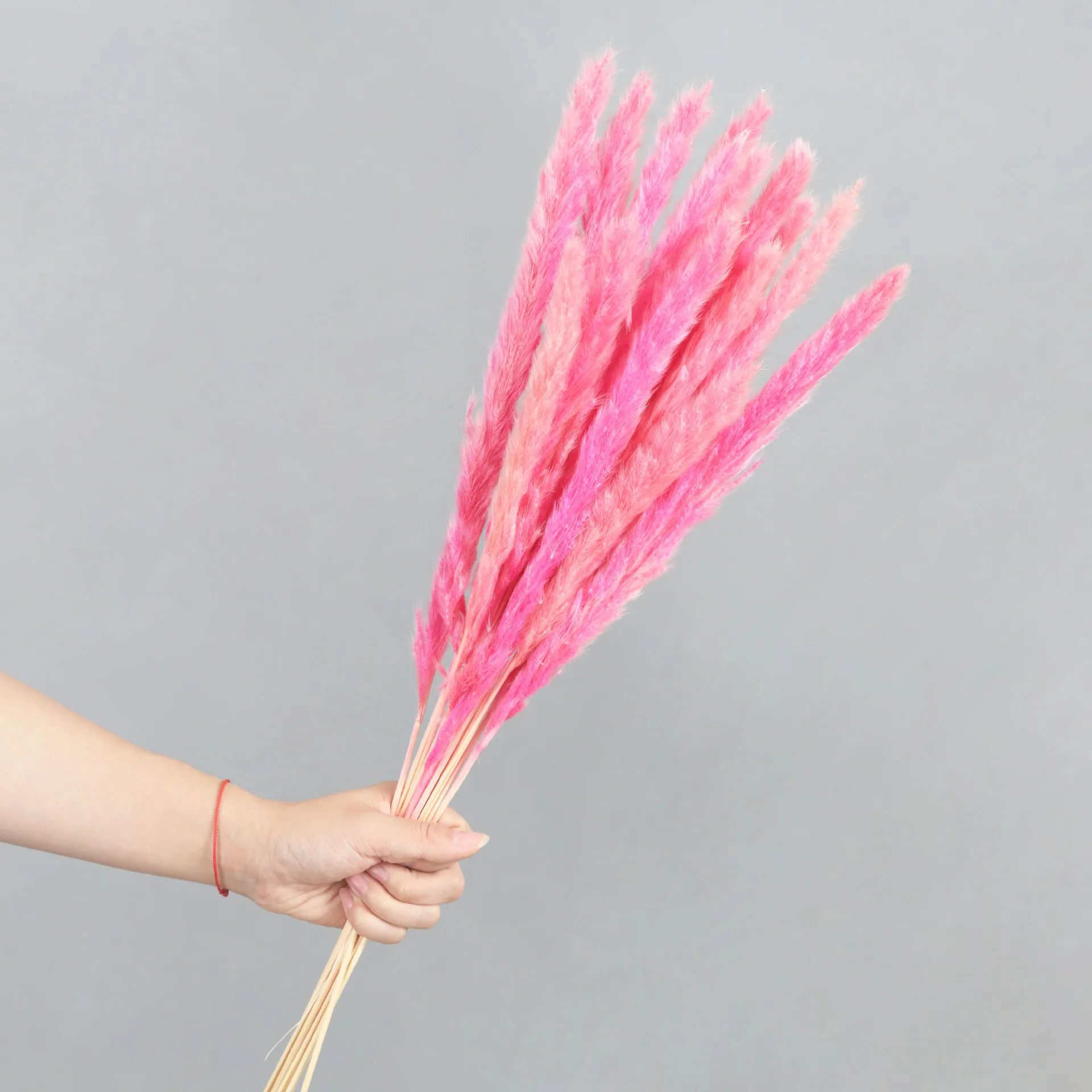 Amazon Popular products  70-90cm Artificial Red Small Pampas Grass