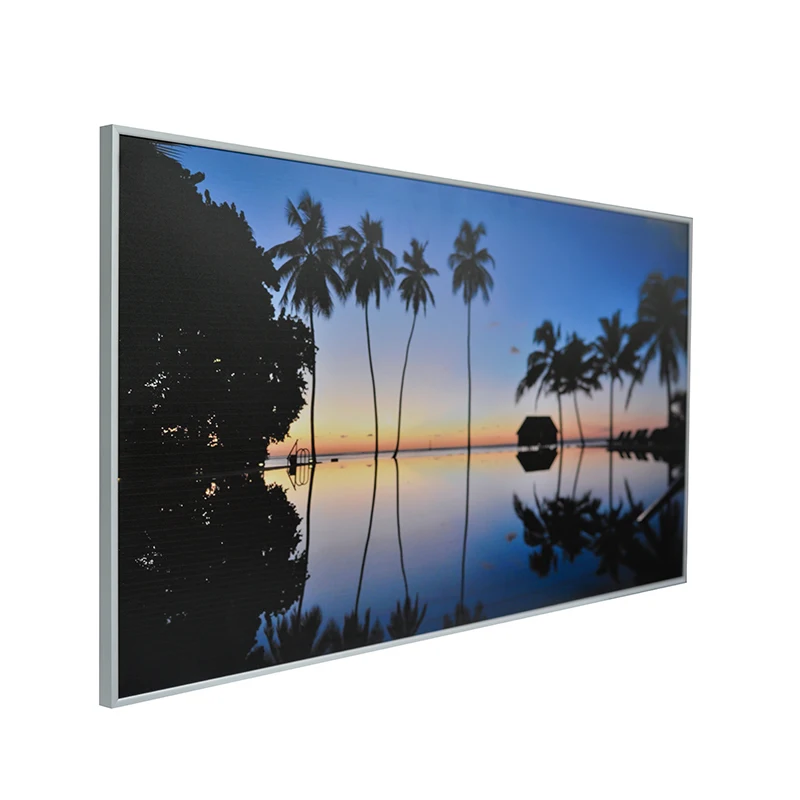 Wall mounted carbon crystal infrared heating panel heater 600W 100*60cm 110V or 220V with CE and RoHS