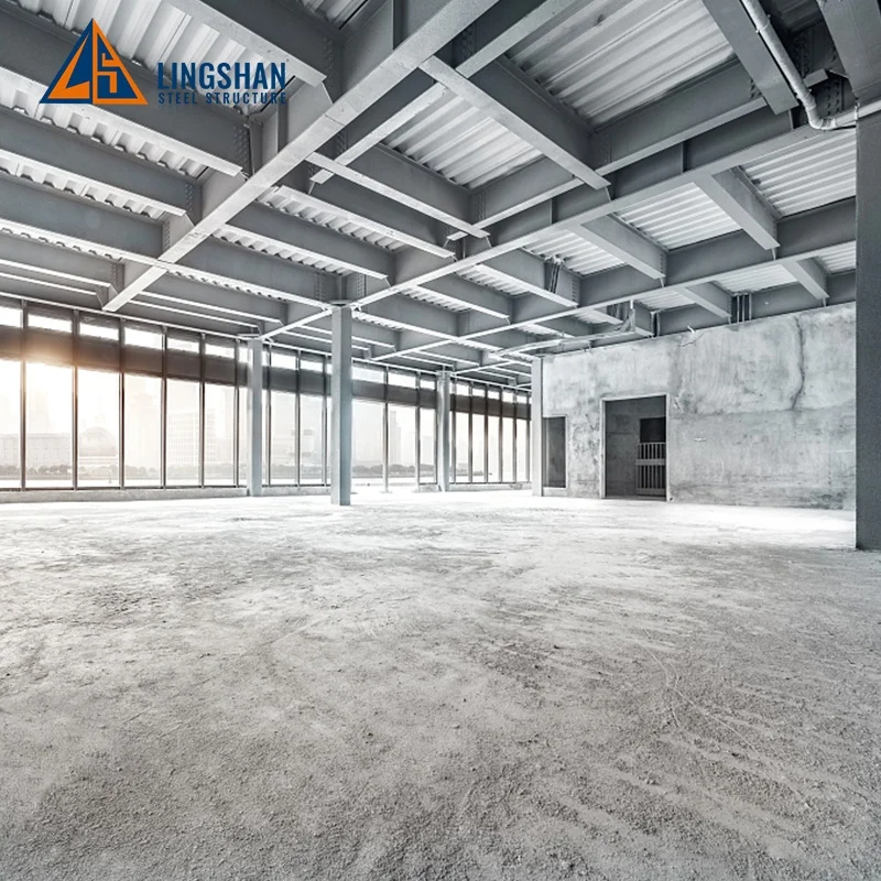 Large Span DWG Design Prefab Steel Structure Construction Hangar Workshop Building