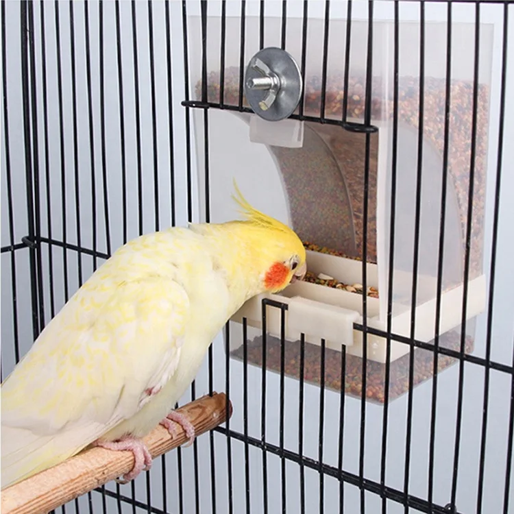 Wholesale High Quality Automatic Parrot Food Box Splash Proof Bird Feeder Bird Feeder Hanging