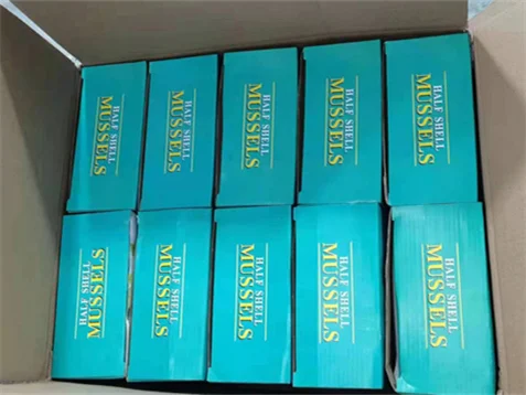 Seafood Mytilus Edulis Good Packaging Mussel Meat Frozen Half Shell Mussel