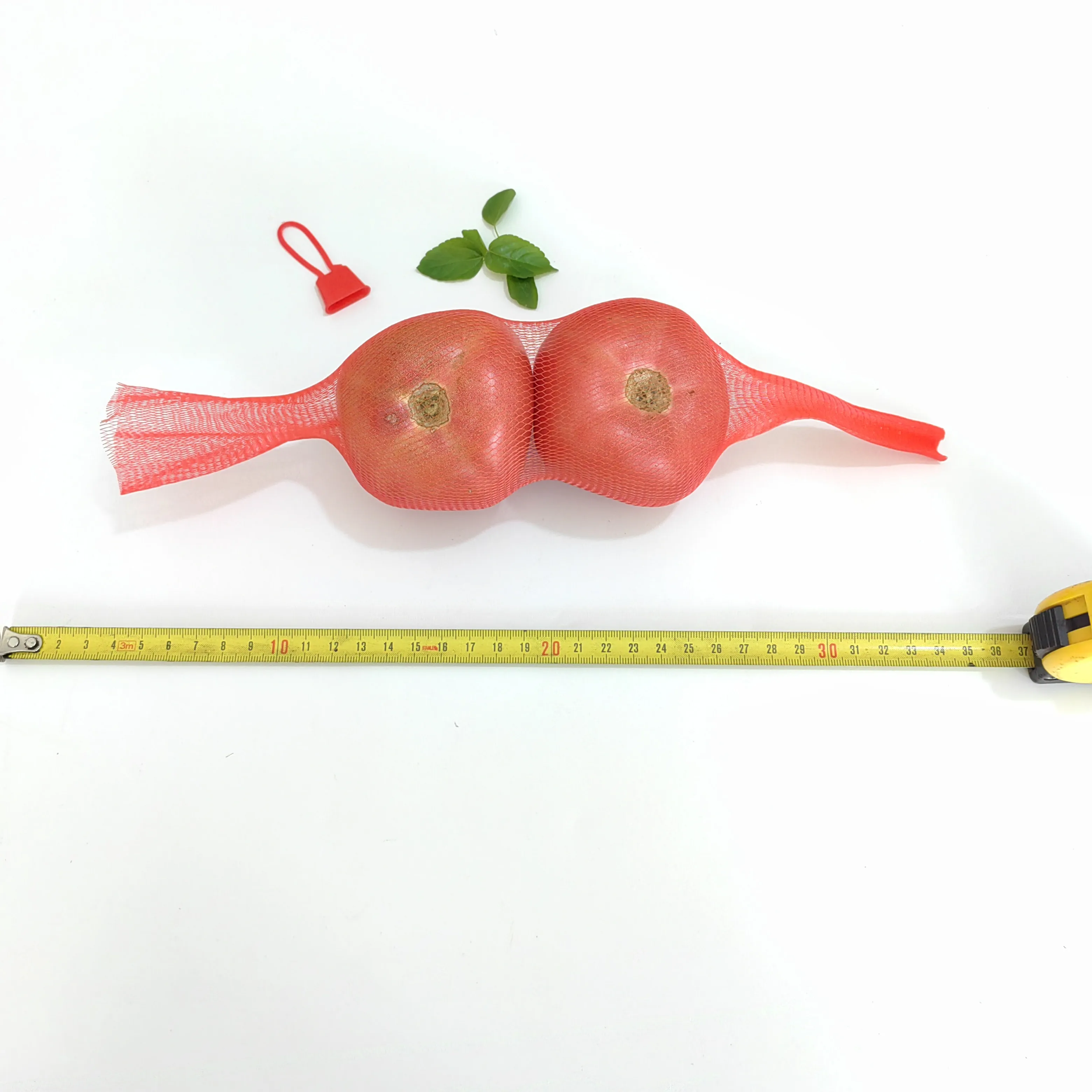 environment friendly and cheap and high quality plastic mesh bags for vegetable like tomato in fresh processing center