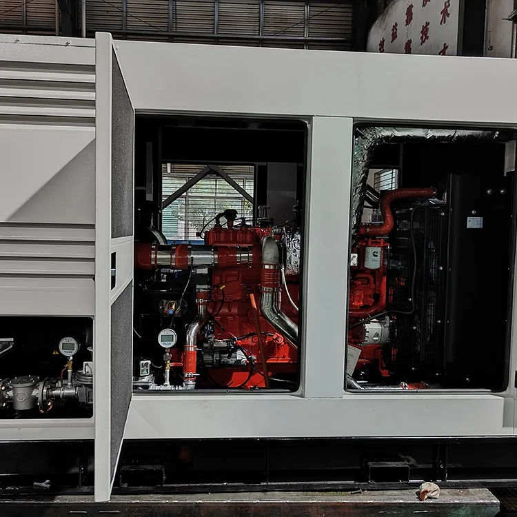 China Supplier Natural Gas /LPG/LNG/CNG Biogas Generator 200 kW Silent Biogas Generator 250kVA