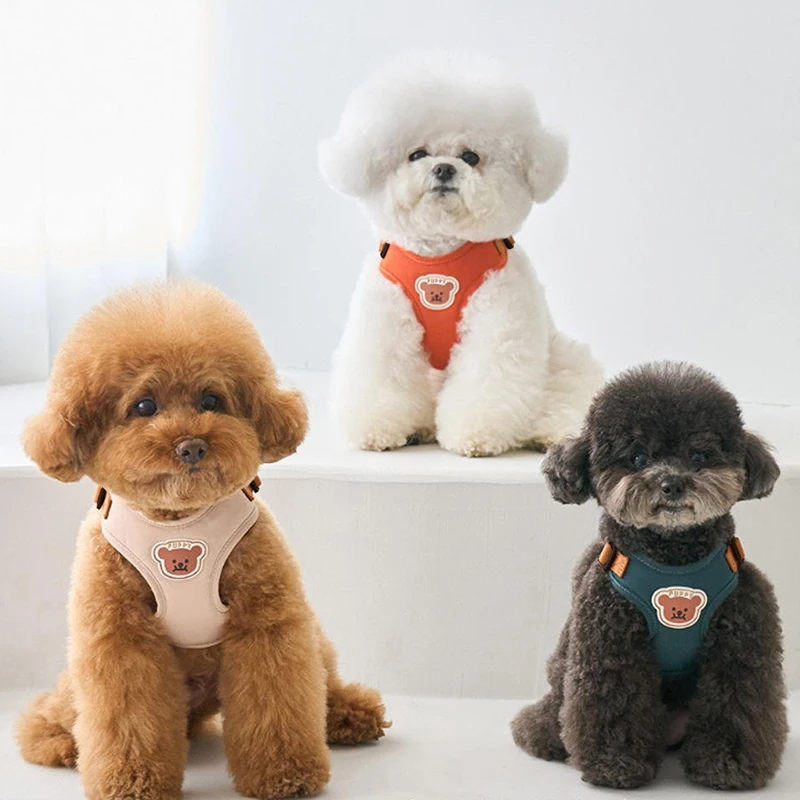 Жгут для маленьких собак