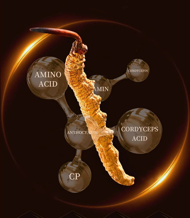 High Quality Super Men Fertility Tablet Male Natural Organic Herbs Pills Maca Sperm Increase Fertility Capsule