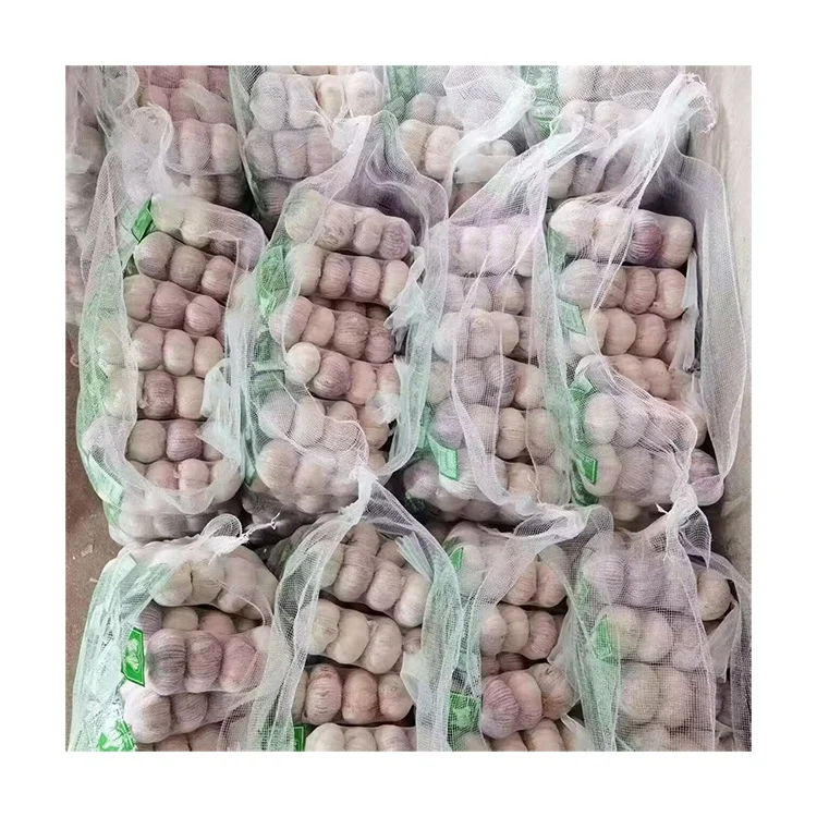 China Export for bawang factory price 5.5 cm garlic for wholesale normal white garlic in mesh bag High quality garlic supplier