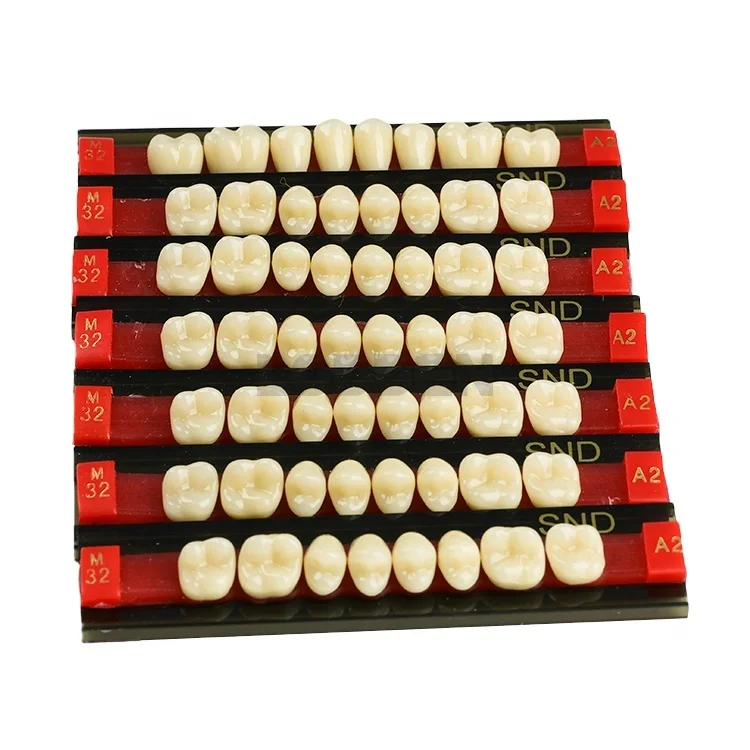Factory price Synthetic resin teeth Acrylic Resin teeth for dentures DIY Teeth Full Set