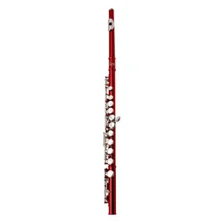 16-hole C-tone color Flute nickel-plated closed key plus E-key professional brass Flute