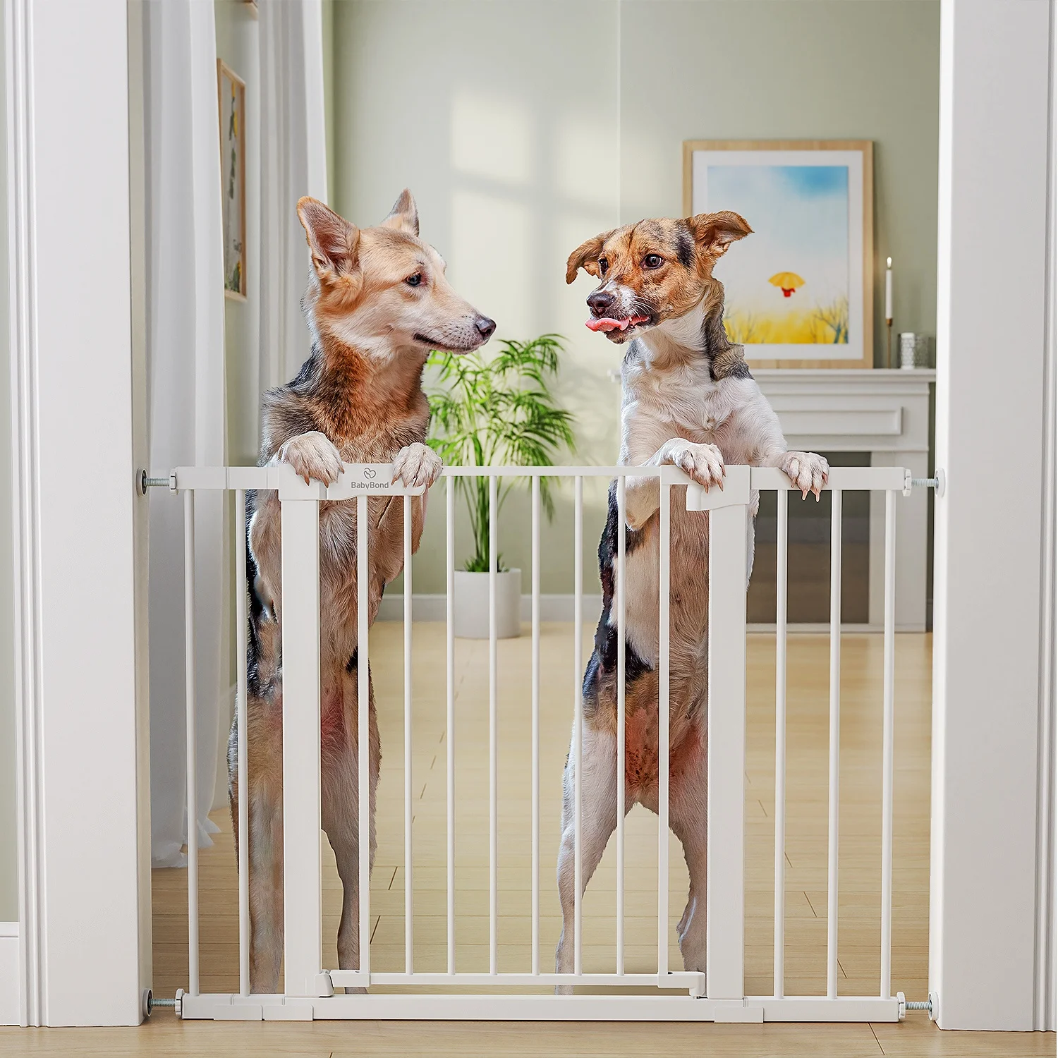 New design safety device child pet isolation parallel bars with locking metal child safety gate baby and pet safety device no-pu