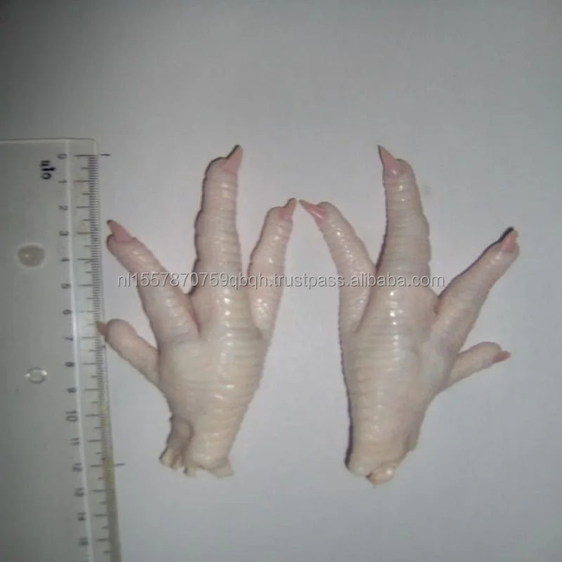 Frozen Chicken Paws and Feet Frozen Grade A Chicken Paws Brazil Origin Halal Fresh Processed Chicken Paws