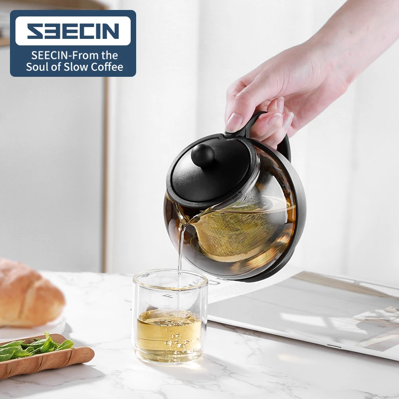 Hot Selling 2021 Transparent High Borosilicate Heat Resistant Glass Tea Infuser Plastic Case With the handle Glass Tea pot