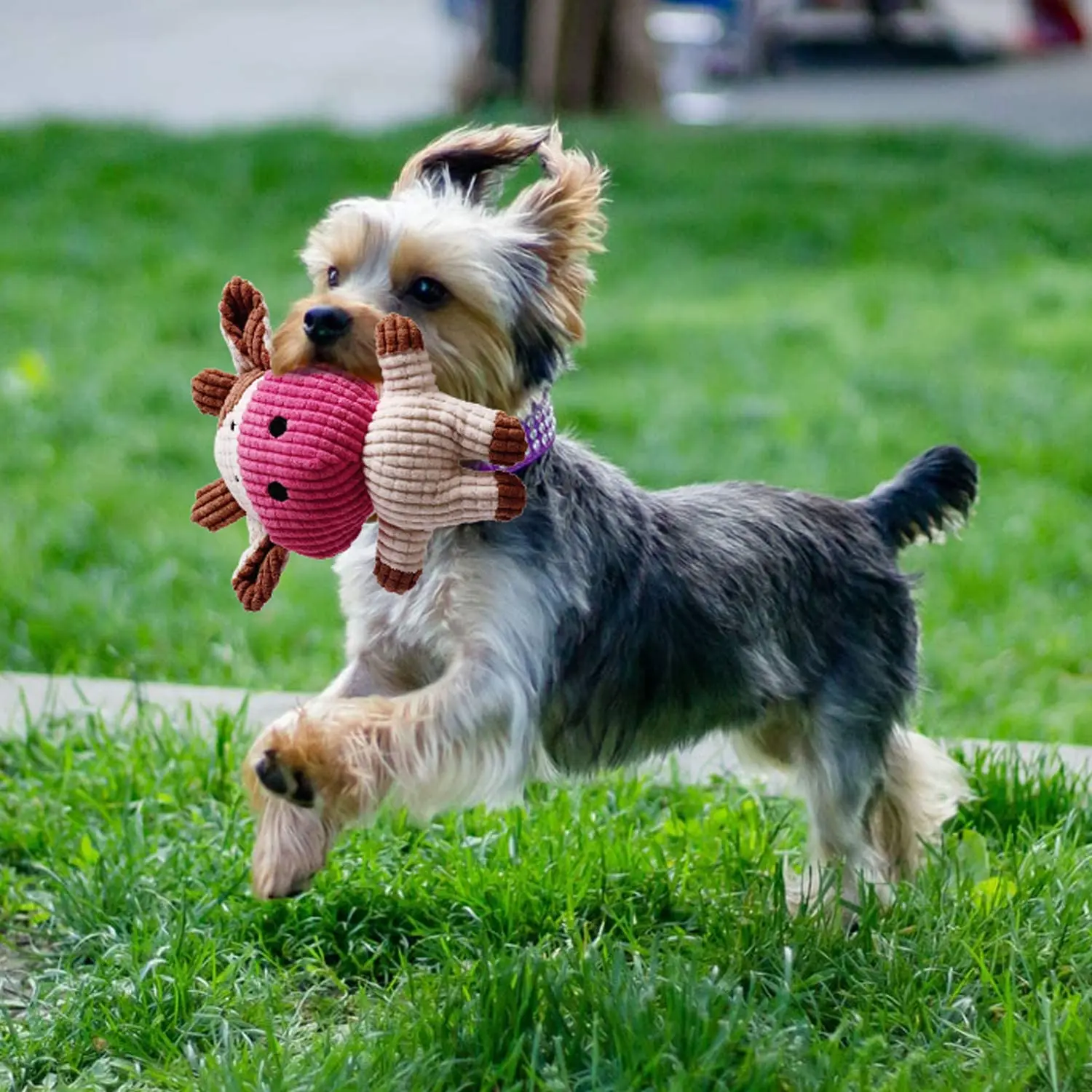 Eco-friendly Adorable Bite Resistant Cotton Rope Soft Corduroy clean teeth Chew Stuffed Animal Plush Squeaky Dog pet Toys