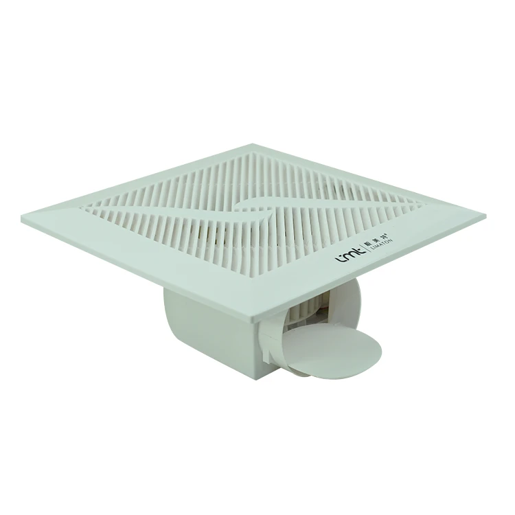 High Quality 10 Inch Ceiling Fan Pipe-type Ultra-thin Mounted Bathroom Exhaust Fans  Kitchen Exhaust Fan BPT25-01T