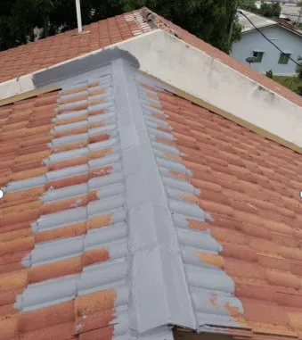 Environmental Friendly Raw Materials Silicon Polymer Waterproofing Coating for Roof Wall Metal