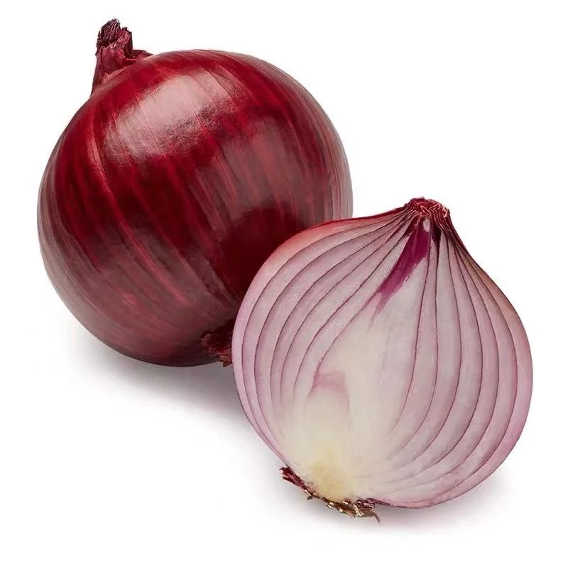 
Wholesale High Germination Heat Resistant hybrid F1 vegetable Purple Onion Seed 