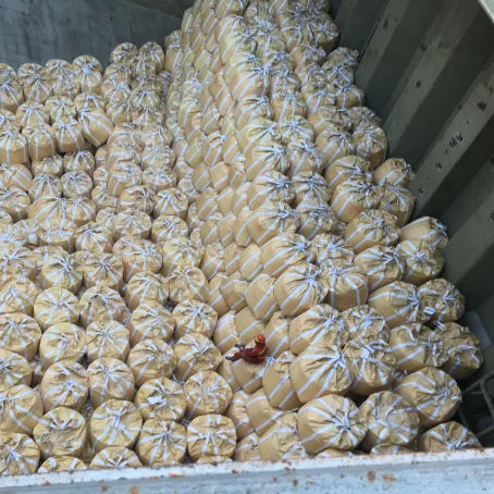  Good Quality 99.2% Min Na2Co3 Soda Ash Dense Sodium