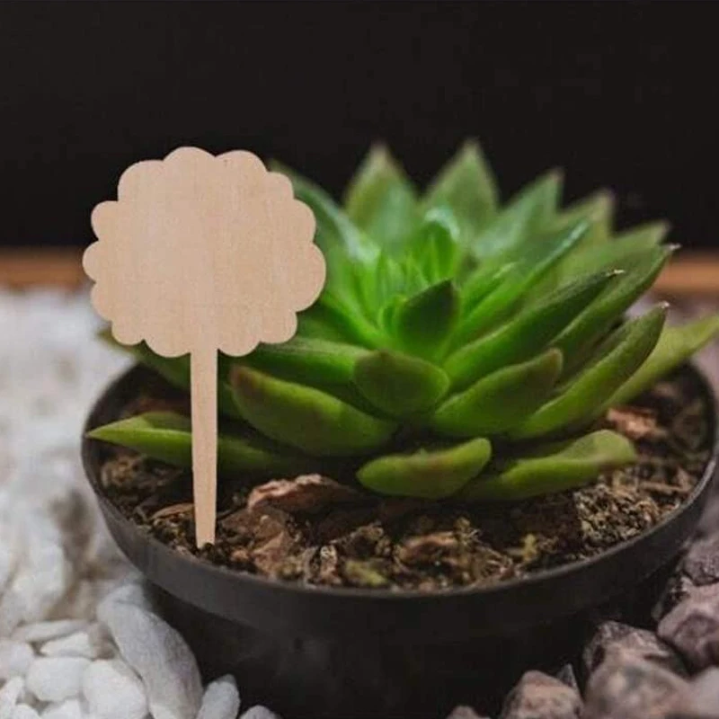 Garden Plant T-type Tags Markers Nursery Pots Garden Decoration Seedling Tray Plant Labels Bamboo Mark Tools