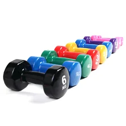 Rising Design Small and Good-looking Vinyl Coated Dummbell Weights Neoprene Dumbbell set