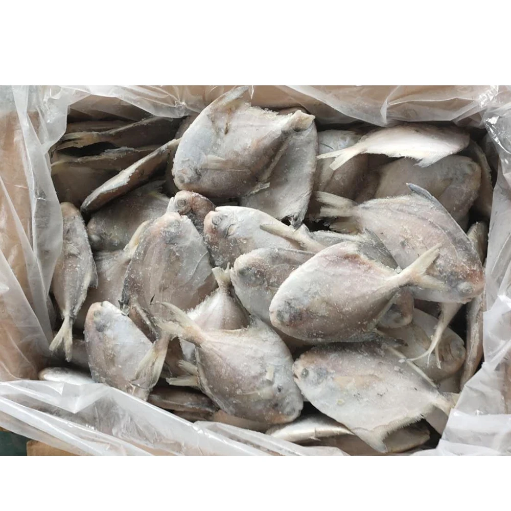 wholesale silver pomfret fish frozen silver pomfret fish