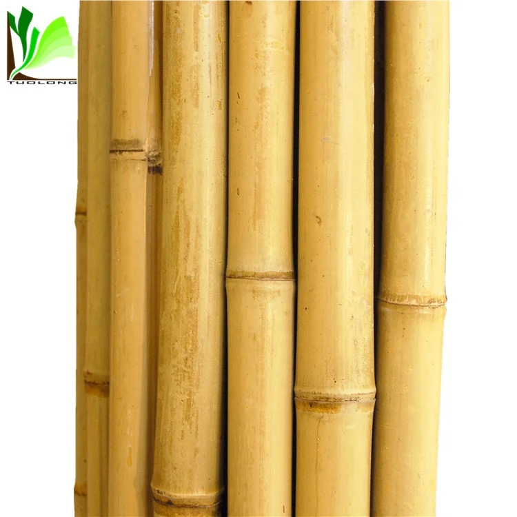 Taped Ski Bamboo Poles