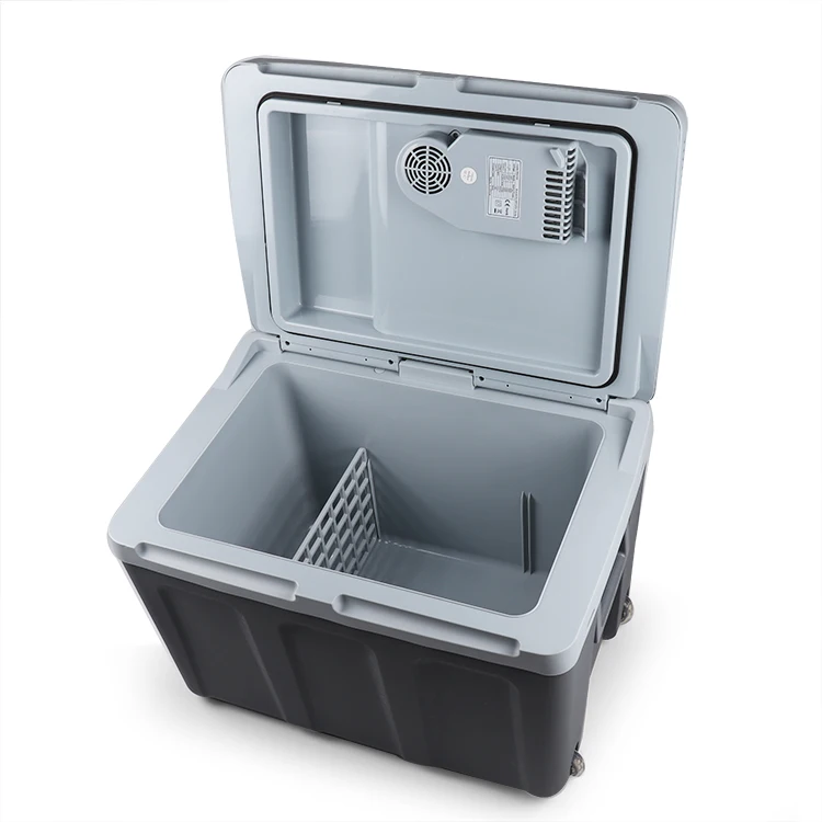 Hot Portable Electric Mini Thermoelectric 12v 240v Cooler and Warmer Box for Car