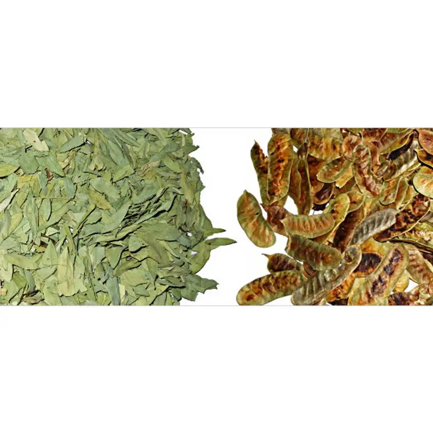 High Quality Natural Senna Leaf  Best Grade at Low Price bulk senna leaves Variety Dried Product