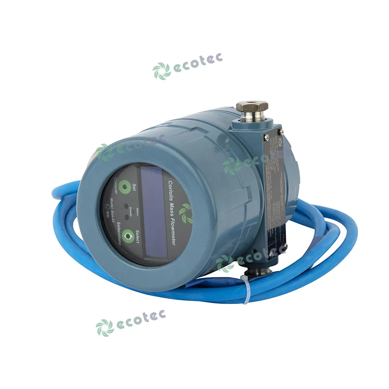 Ecotec Atex Coriolis массовый расходомер высокоточный измеритель для диспенсера LPG