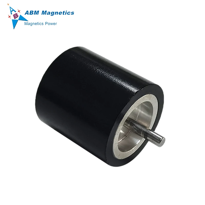 OEM Magnet Manufacturers Sell Permanent Magnet Rotors