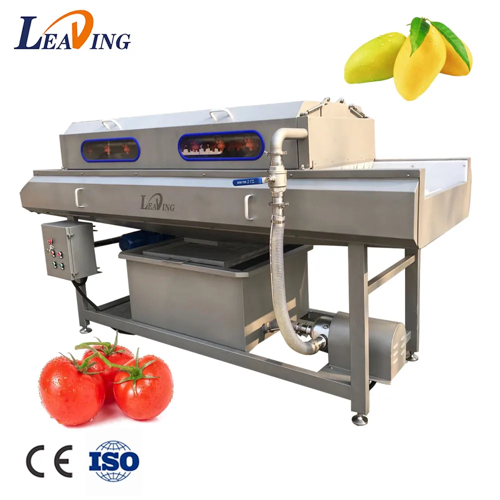 Brush Mango Grape Watermelon Peach Cleaning Date Washing and Drying Machine