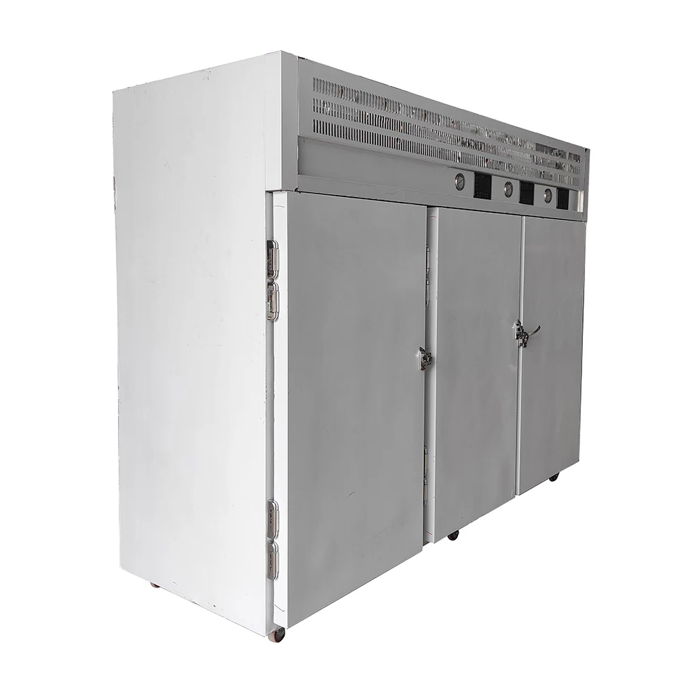 Strawberry Vegetable Quick Freeze Machine Industrial Flash Cryogenic Blast IQF Instant Freeze Machine