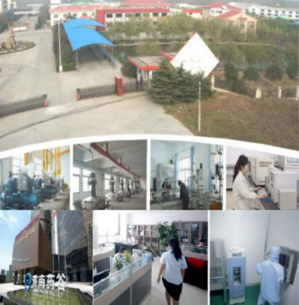 Company Information.jpg