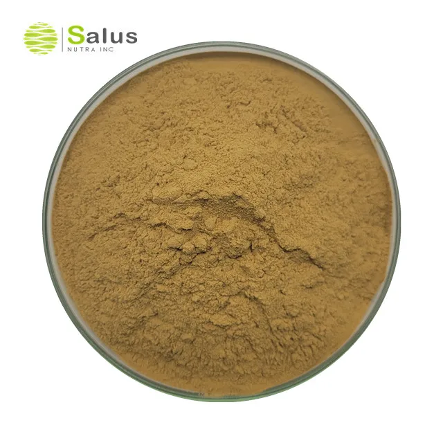 SALUS Wholesale Nuciferin 10% Lotus Leaf Extract Powder