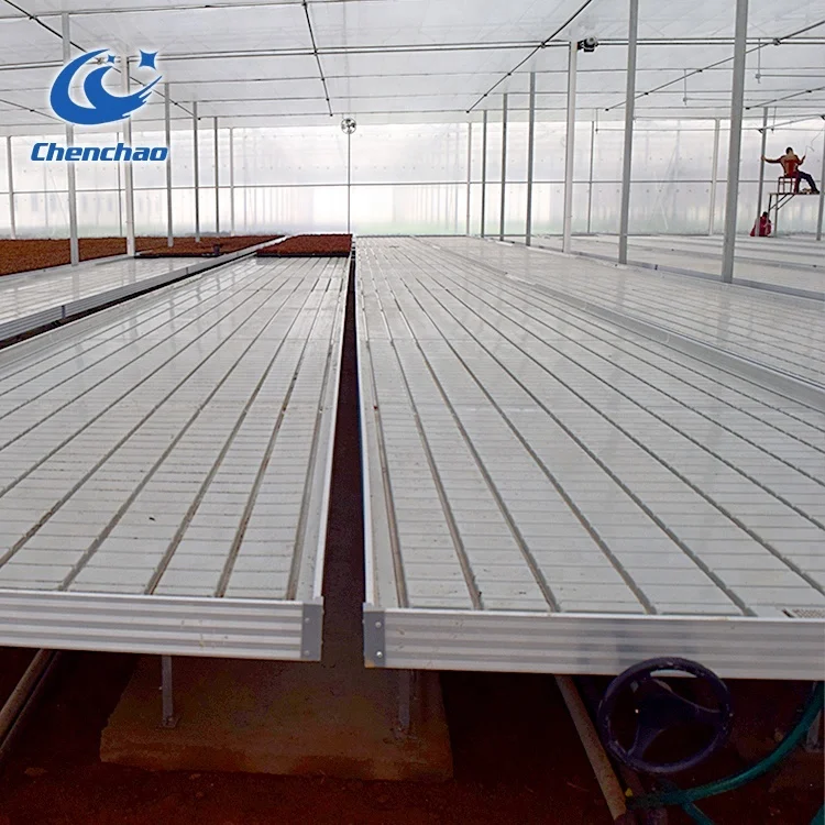 rolling benches ebb and flood tray tobacco seedbed