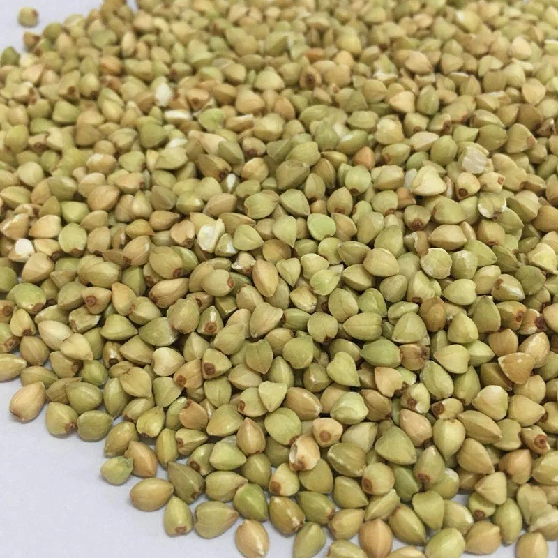 2022 new crop buckwheat filling  roasted buckwheat on sale