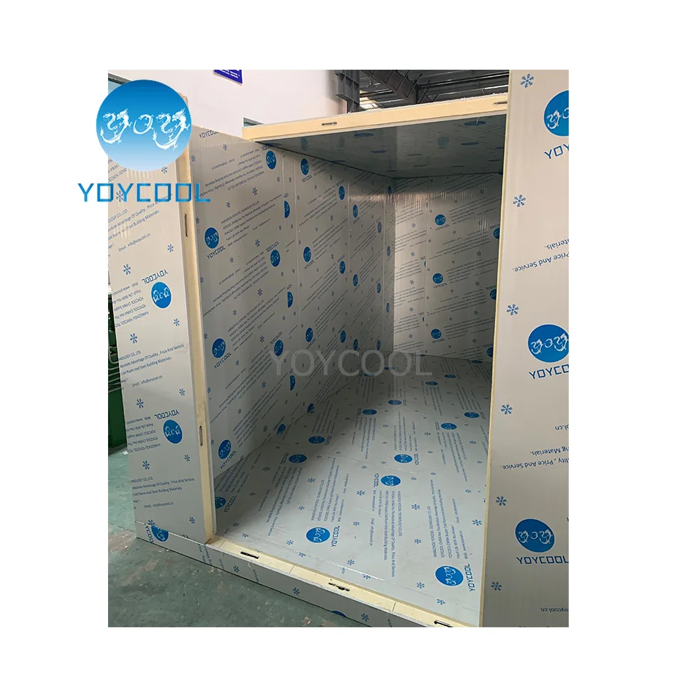 BEST walk in freezer units for sale meat cooler compressor walkin and cold room