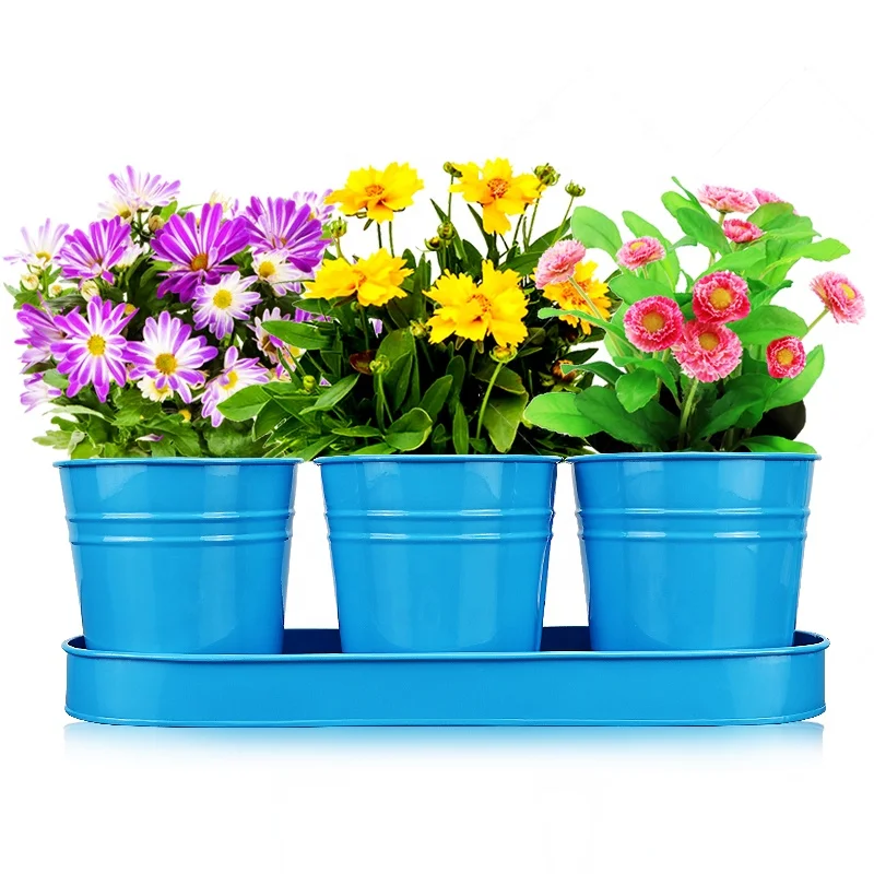 Mini Plant Pots Set, Succulent Pots with Tray and Drain Holes - Galvanized Metal Succulent Planter Pots for Garen Home Outdoor