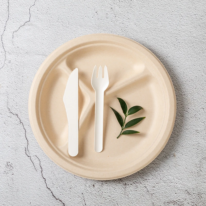Custom 100% Compostable 9 10 Inch Round Heavy Duty Plates Sugarcane Paper Plates 3 Compartment Eco-friendly Disposable Camping