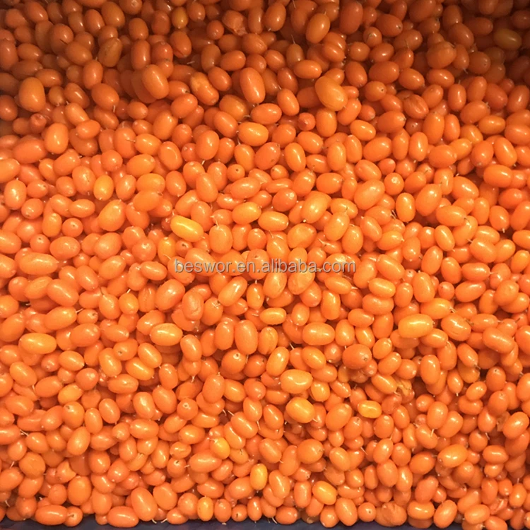 IQF fresh frozen wild sea buckthorn first class sea-buckthorn lingonberry raspberry, blueberry mixed berries