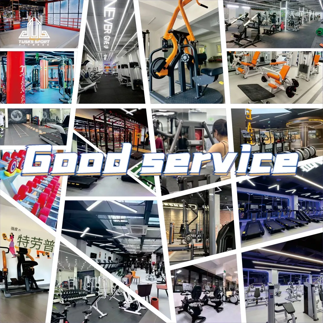 Certified Nautilus Fitness Equipment for Gym Exercise for Fitness Clubs